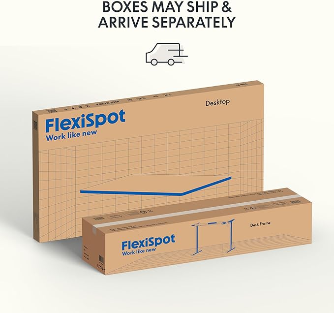 FLEXISPOT EN1 One-Piece Height Adjustable Desk 48 x 30 inch Electric Standing Desk for Home Office (Silver Frame + 48" Natural Top, 2 Packages)