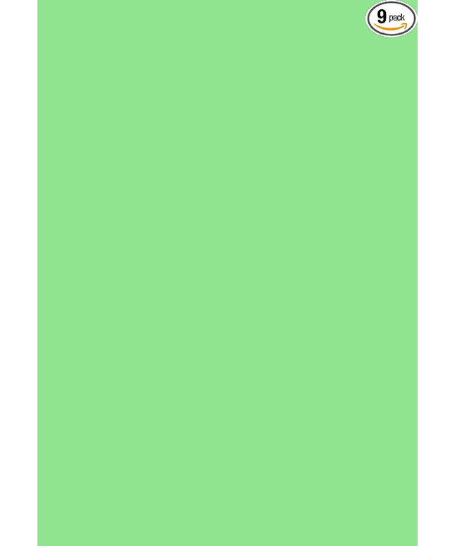 Kate 6ftX9ft Solid Light Green Backdrop Portrait Photography Background for Photography Studio Children and Headshots Green Backdrop Background