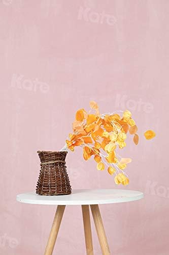 Kate 6ftX9ft Solid Light Pink Backdrop Portrait Photography Background for Photography Studio Children and Headshots Light Pink Backdrop Background