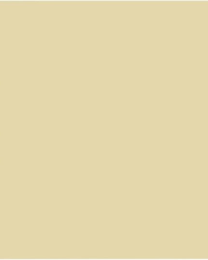 Tan Photography Backdrop for Photoshoot, Photo Backdrop Curtain, Perfect Tan Backdrops for Party Portrait Photoshoots Video Studio 10FTx10FT