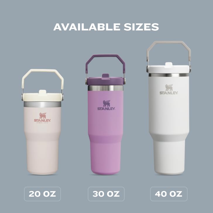 Stanley IceFlow Flip Straw Tumbler with Handle 20 oz | Twist On Lid and Flip Up Straw | Leak Resistant Water Bottle | Insulated Stainless Steel |BPA-Free | Azure