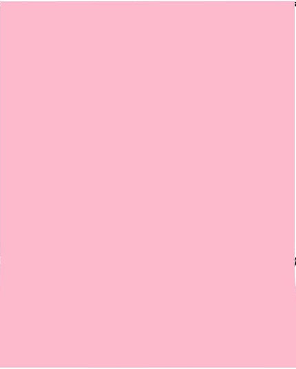 Large Size 10x10FT Pink Background Studio Background Photography Party Video Recording Portrait Screen Props