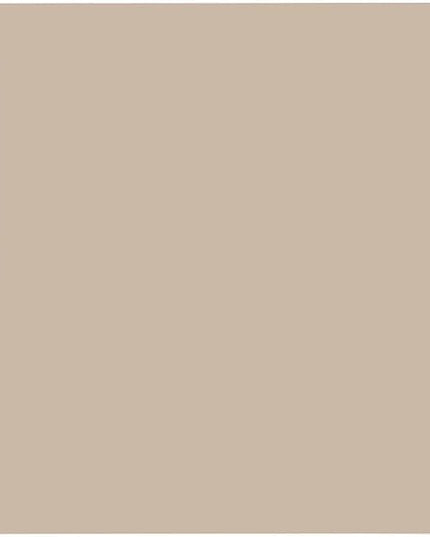 Beige Photo Backdrop,Photo Booth Portrait Photography Backdrops,Studio Beige Backdrop for Photoshoot Streaming Video Shooting 10x10ft