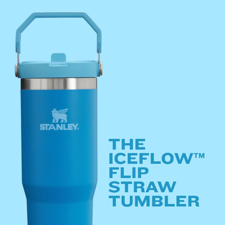 Stanley IceFlow Flip Straw Tumbler with Handle 20 oz | Twist On Lid and Flip Up Straw | Leak Resistant Water Bottle | Insulated Stainless Steel |BPA-Free | Charcoal