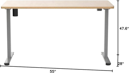 FLEXISPOT EN1 One-Piece Electric Standing Desk, 55 x 28 inch Stand Up Desk for Home Office (Silver Frame + 55" Natural Top, 2 Packages)
