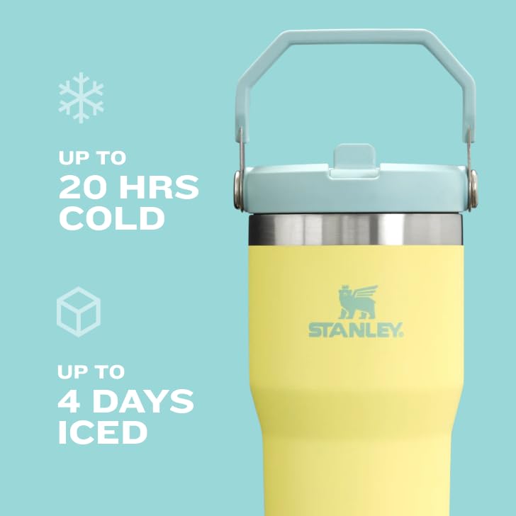 Stanley IceFlow Flip Straw Tumbler with Handle 20 oz | Twist On Lid and Flip Up Straw | Leak Resistant Water Bottle | Insulated Stainless Steel |BPA-Free | Azure