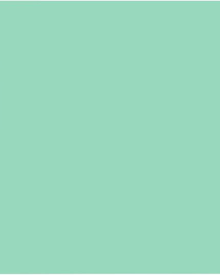 Jelly Mint Green Photography Backdrop for Photoshoot, Photo Backdrop Curtain, Perfect Light Green Backdrops for Party Portrait Photoshoots Video Studio 8FTx10FT