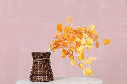 Kate 6ftX9ft Solid Light Pink Backdrop Portrait Photography Background for Photography Studio Children and Headshots Light Pink Backdrop Background