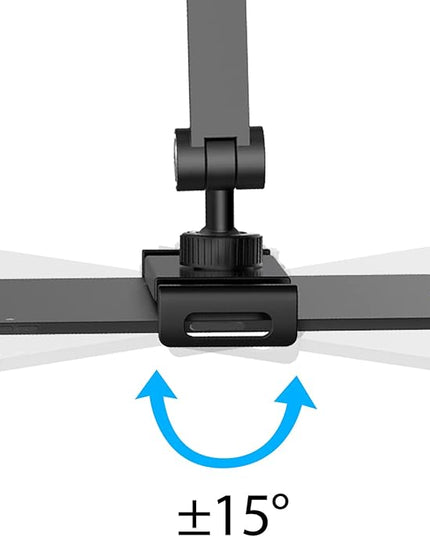 BEWISER iPad Desk Mount, Tablet Stand Holder for Desk or Bed,Rotate 360 Degrees of Flexible, Height and Angle Adjustable, Aluminium Alloy Arm Clamp Mount Compatible with4.7-15.6" Screen (Space Gray)