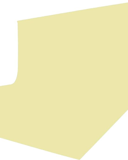 ISSUNTEX 6X9 ft/1.8X2.7 Meters Beige Background Photo Backdrop, Photo Studio, Collapsible High Density Screen for Video Photography and Television