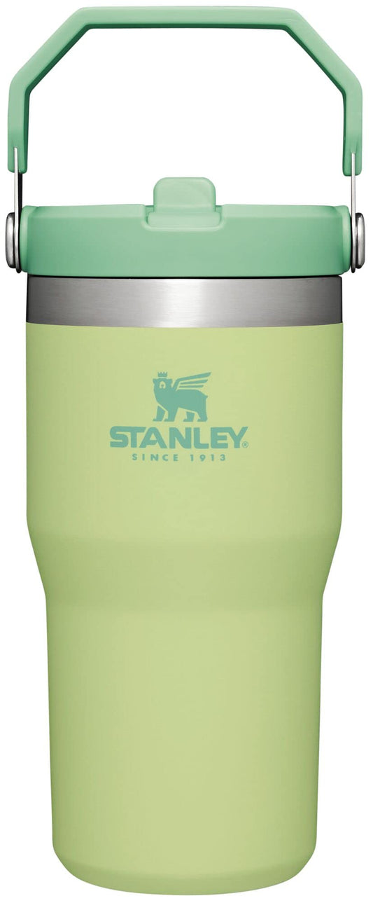 Stanley IceFlow Flip Straw Tumbler with Handle 20 oz | Twist On Lid and Flip Up Straw | Leak Resistant Water Bottle | Insulated Stainless Steel |BPA-Free | Citron