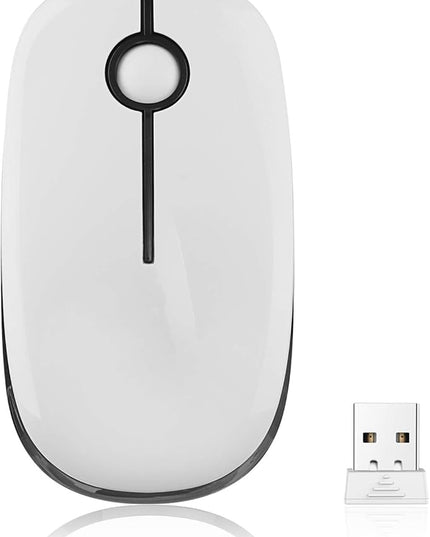 VssoPlor Wireless Mouse, 2.4G Slim Portable Computer Mice with Nano Receiver for Notebook, PC, Laptop, Computer-Black and White