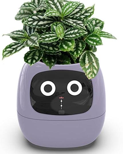 Intelligent Flower Pot, Electronic Bud, Maintenance Plant Assistant, Fun Interactive Flower Pot, Indoor Green Planting Monitoring, LCD Screen Display, Cell Phone APP Connection (Purple)