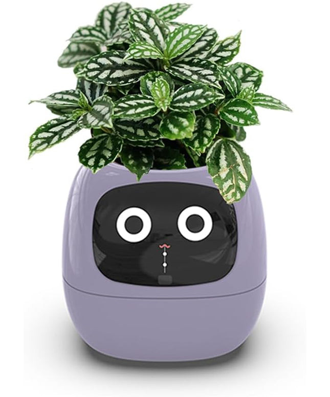 Intelligent Flower Pot, Electronic Bud, Maintenance Plant Assistant, Fun Interactive Flower Pot, Indoor Green Planting Monitoring, LCD Screen Display, Cell Phone APP Connection (Purple)