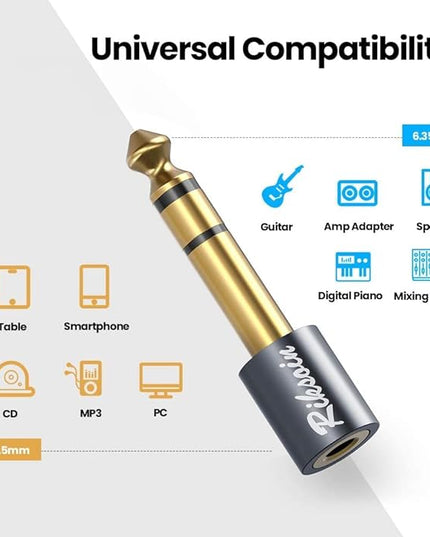 RIKSOIN Headphone Adapter, 2-Pack 6.35mm (1/4 Inch) Male to 3.5mm (1/8 Inch) Female Stereo Audio Adapter [Gold Plated, Hi-Fi Sound] for Amp Adapter, Guitar, Digital Piano, Microphones, Speaker