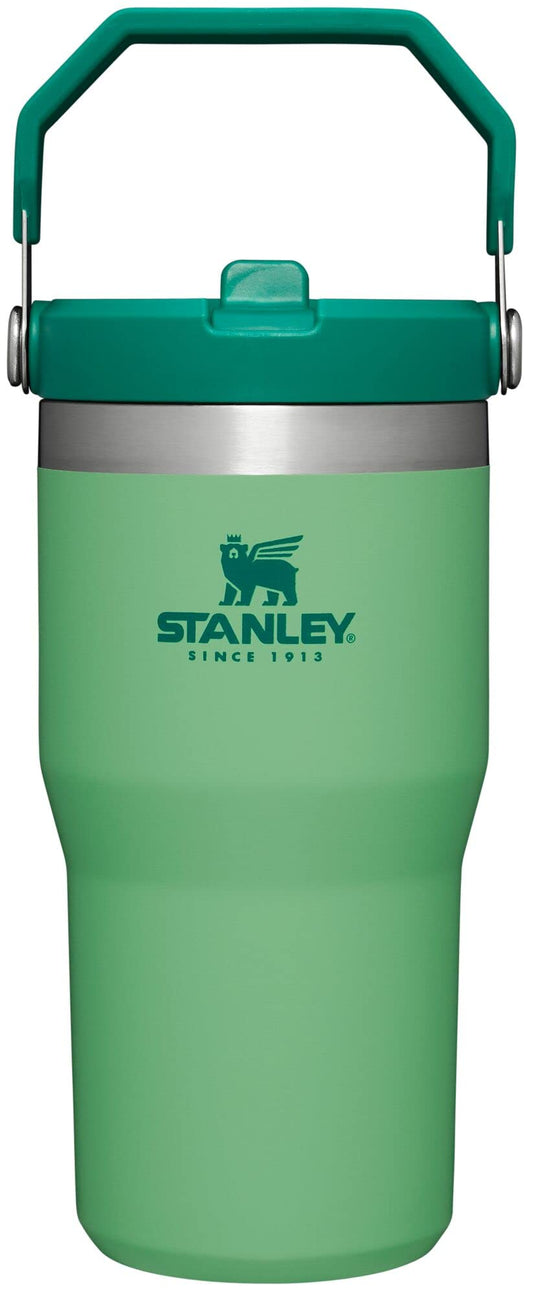 Stanley IceFlow Flip Straw Tumbler with Handle 20 oz | Twist On Lid and Flip Up Straw | Leak Resistant Water Bottle | Insulated Stainless Steel |BPA-Free | Jade