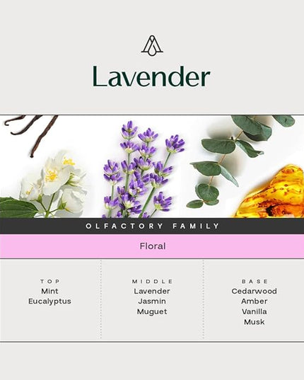 AromaPlan Hotel Scents Lavender 5 Fl Oz (2 Pack), Luxury Aroma & Hotel Fragrance Diffuser Oil- Hotel Diffuser Oil for Aromatherapy- USA Made, Bigger Bottle, Bolder Aroma & Longer Lasting