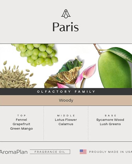 AromaPlan Hotel Scents Paris 5 Fl Oz (148ml), Home Luxury Aroma & Hotel Fragrance Diffuser Oil- Hotel Diffuser Oil for Aromatherapy- USA Made, Bigger Bottle, Bolder Aroma & Longer Lasting