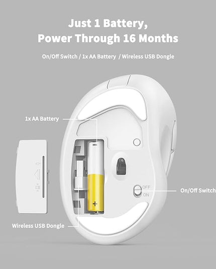 Ergonomic Wireless Mouse 2025 New Updated Smaller with USB-A Receiver for PC Computer, Laptop and Desktop, Ergo Mouse Vertical with Silent Clicks Long Battery Life, Up to 1600 DPI, White