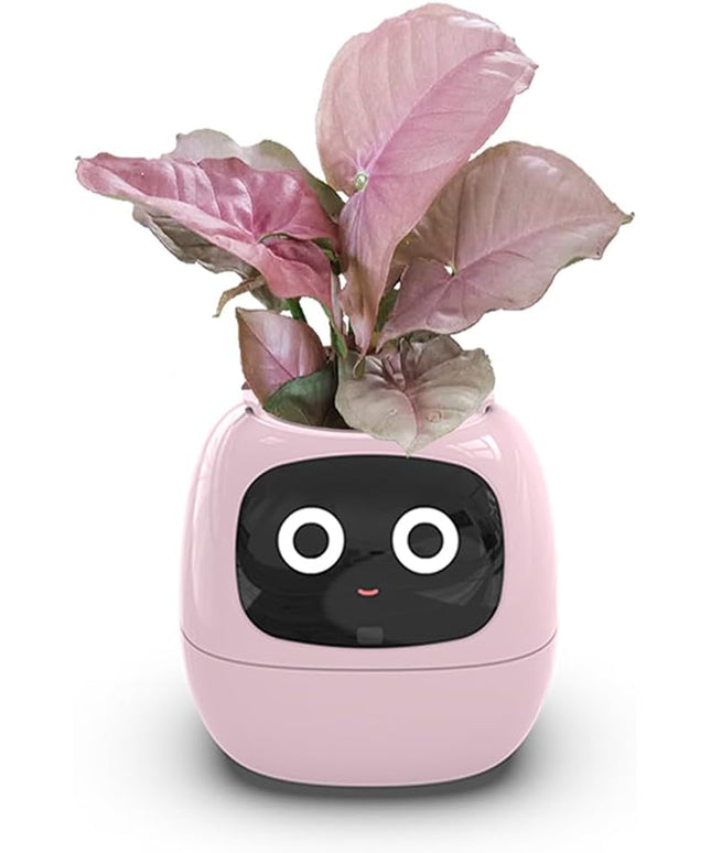 Intelligent Flower Pot, Electronic Bud, Maintenance Plant Assistant, Fun Interactive Flower Pot, Indoor Green Planting Monitoring, LCD Screen Display, Cell Phone APP Connection (Pink)