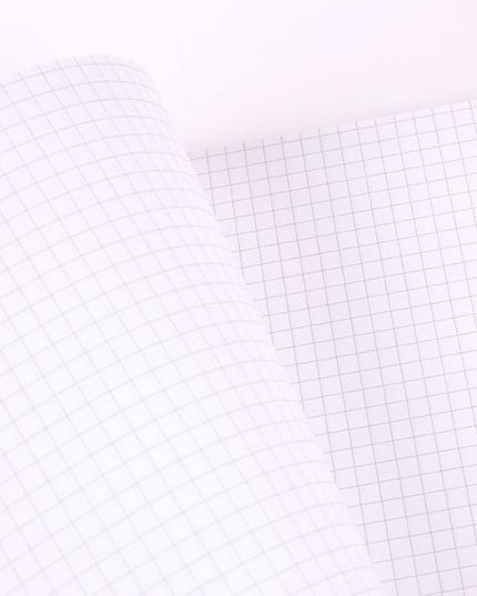 KAISA Graph Paper Filler Paper, 8"x10.5" 4x4 Graph/Quad Rule Filler Paper 3-Hole Punched 1/4inch Grid Paper Loose-Leaf Paper for 3-Ring Binders,150sheet/pack, 3pack F15001Q