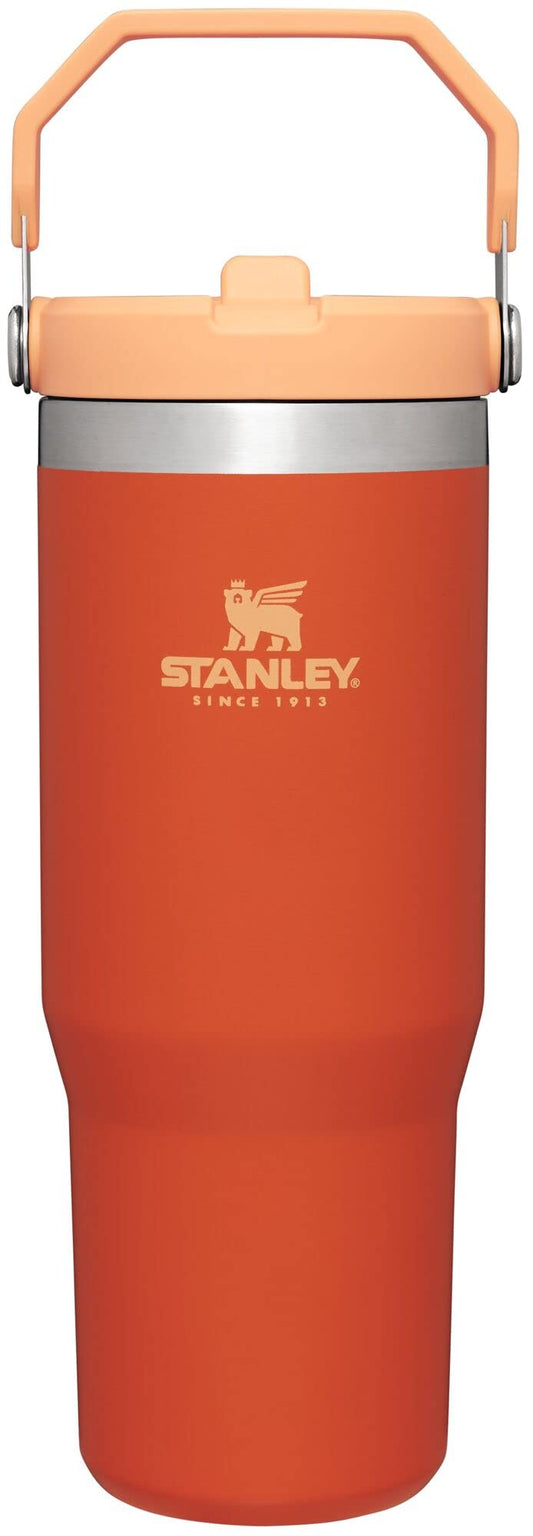 STANLEY IceFlow Flip Straw Tumbler with Handle 30 oz | Twist On Lid and Flip Up Straw | Leak Resistant Water Bottle | Insulated Stainless Steel |BPA-Free | Tigerlily