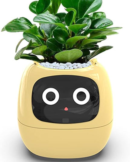 Intelligent flower pot, electronic bud, maintenance plant assistant, fun interactive flower pot, indoor green planting monitoring, LCD screen display, cell phone APP connection (Yellow)