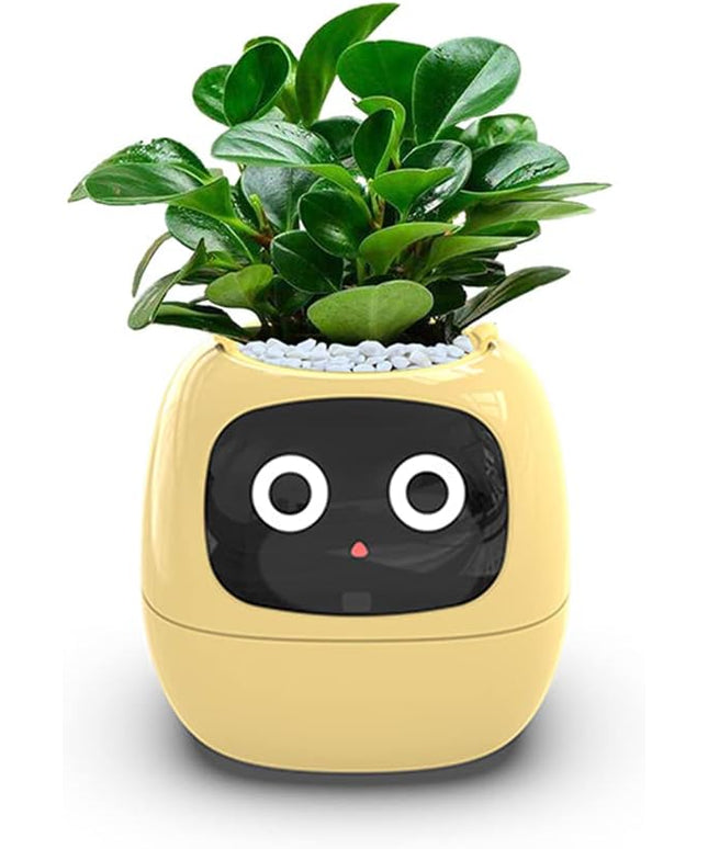 Intelligent flower pot, electronic bud, maintenance plant assistant, fun interactive flower pot, indoor green planting monitoring, LCD screen display, cell phone APP connection (Yellow)