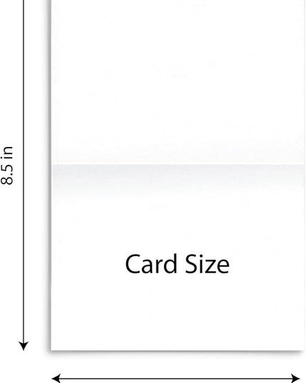 Quni Brand Forest Animals Note Card Set (24 Fold-over Cards and Envelopes)