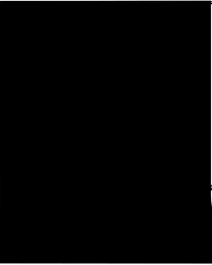 Photo Backdrop Black Background Cloth Professional Photography 6x9ft Seamless Design Eliminates Wrinkle Portrait Photography Wedding Dark Theme Decorations