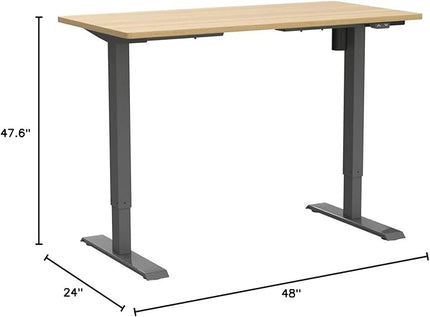 FLEXISPOT EN1 One-Piece Height Adjustable 48 x 24 inch Electric Standing Desk, Stand Up Desk for Home Office (Silver Frame + 48" Natural Top, 2 Packages)