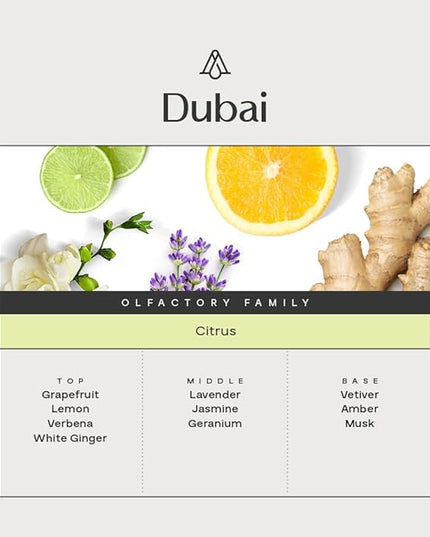 AromaPlan Hotel Scents Dubai,1.7 Fl Oz (50 ml)- Home Luxury Aroma & Hotel Fragrance Diffuser Oil- Hotel Diffuser Oil for Aromatherapy- USA Made, Bolder Aroma & Longer Lasting