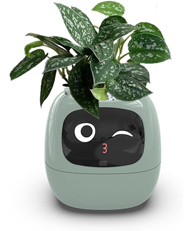 Intelligent Flower Pot, Electronic Bud, Maintenance Plant Assistant, Fun Interactive Flower Pot, Indoor Green Planting Monitoring, LCD Screen Display, Cell Phone APP Connection (Green)