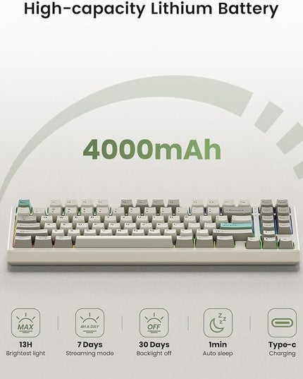 Wireless Mechanical Keyboard,Gasket Mounted with Creamy Sound,Bluetooth/2.4GHz/USB-C,Custom Hot Swappable,RGB Backlit,75% Compact Layout for Gaming/Typing/Win/Mac/PC (Industrial Gray,Linear Switch)
