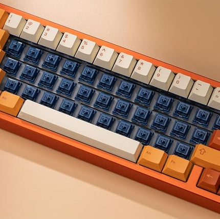 WS Light Tactile Mechanical Keyboard Switches Set, 5 Pin Navy Blue Factory Lubed Switch with POM Stem, 15.4mm Spring, Compatible with MX Keycaps for Gaming DIY Keyboard (35pcs)