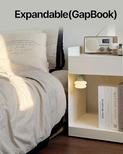 Book Shape Decorative Cable Management Box - Expandable Cable Organizer Box with Magnetic Closure for Home & Office (Modern Matisse, Standard)