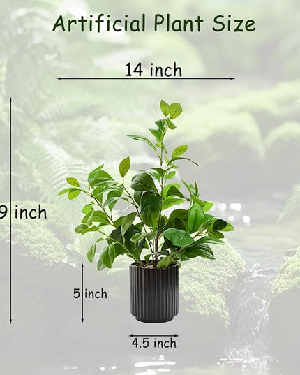 EZBOHO 16 inch Artificial Plants Indoor Realistic Touching Evergreen Leaf Fake Plant with Creamic Black Pot for Home Office Living Room Bathroom Office Table Bookshelf Decor