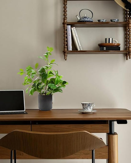 EZBOHO 16 inch Artificial Plants Indoor Realistic Touching Evergreen Leaf Fake Plant with Creamic Black Pot for Home Office Living Room Bathroom Office Table Bookshelf Decor