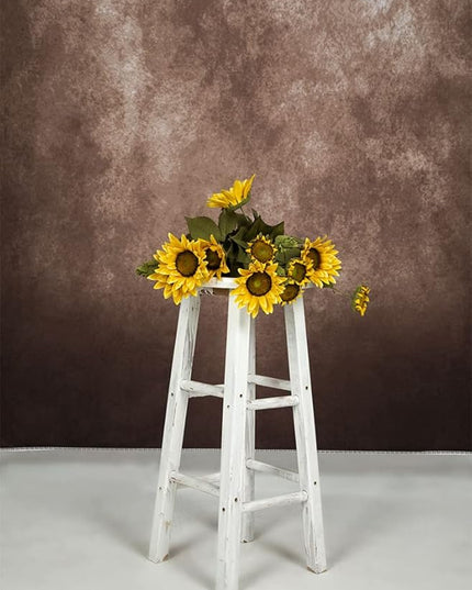 Kate 5x7ft Brown Portrait Backdrops Vintage Brown Backgrounds for Professional Photography Studio