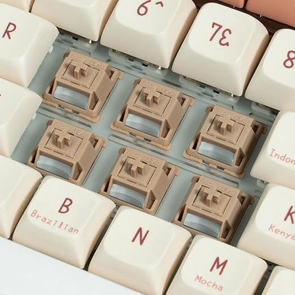 Gateron Chocolate Smoothie Mechanical Keyboard Switches，RGB LED Heavy Tactile 5 Pin Pre-lubed 55gf Switches for MX Mechanical Keyboard (70PCS)