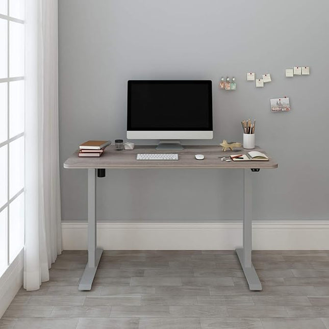 FLEXISPOT EN1 One-Piece Standing Desk 48 x 30 Inches Height Adjustable Electric Desk (Silver Frame + Grey Wood Grain Top, 2 Packages)