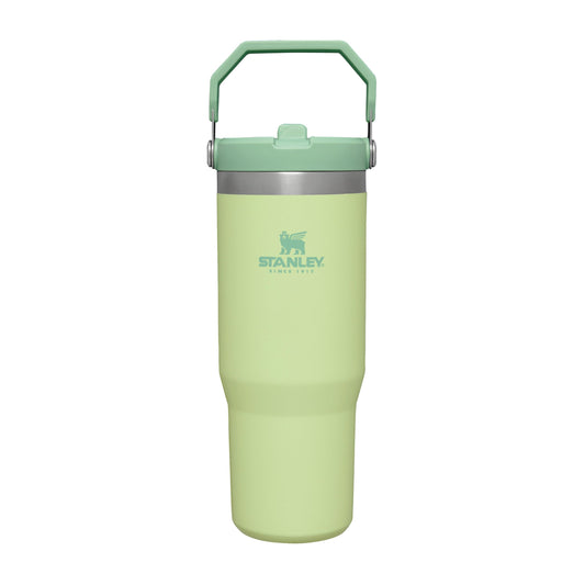 Stanley IceFlow Flip Straw Tumbler with Handle 30 oz | Twist On Lid and Flip Up Straw | Leak Resistant Water Bottle | Insulated Stainless Steel |BPA-Free | Citron