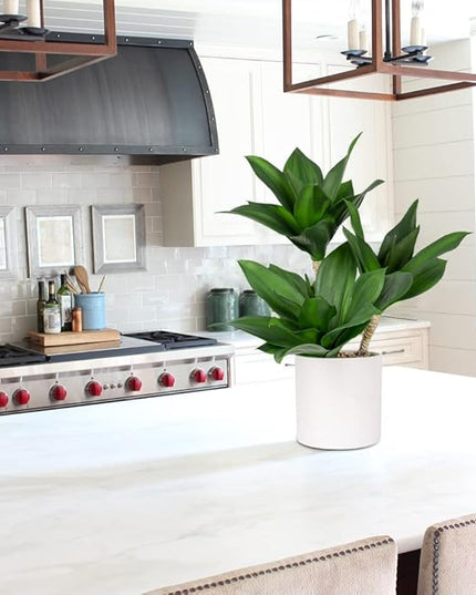 Hollyone Large Artificial Agave Plants Fake Three-Head Agave Succulent Plant Potted 15" Faux Plant in White Pot Succulent Aloe Plant Indoor for Desk Modern Home Decor