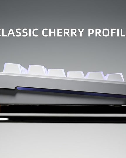XVX White Shine Through Keycaps, PBT Keyboard Keycaps Cherry Profile, Custom Side Printed Keycap Sets Suitable for 60% 65% 75% 80% 100% Mechanical Keyboard