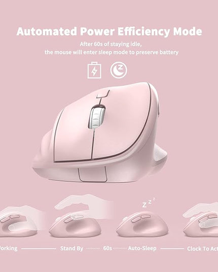 MICROPACK Digitally Yours Ergonomic Wireless Mouse with USB Receiver for PC, Laptop and Desktop, Pink