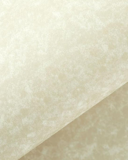 Best Paper Greetings Parchment Paper - 8.5 x 11 In, Ivory, 90 GSM, 96 Sheets - Resume & Certificate Paper - Printer Stock for Awards & Diplomas