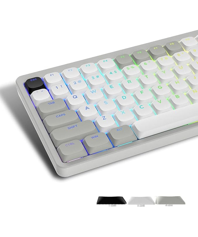 Womier Low Profile Keycaps - Shine Through Keycaps 60 65 75 100 Percent, Keyboard Key caps PBT Full Size for Cherry Gateron MX Switches Mechanical Keyboard, Grey/White