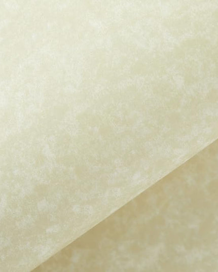 Best Paper Greetings Stationery Paper & Envelopes Set - 96-Pack, 8.5 x 11 Inch, Cream Textured - Letter Writing Paper for Love Letters & Invitations