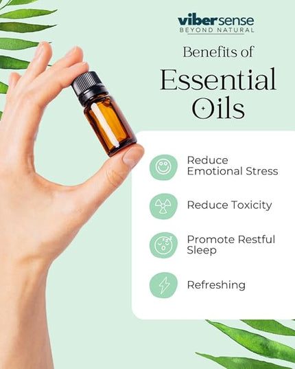 Essential Oils Set - Top 6 Blends for Diffusers, Home Care, Candle Making Scents, Fragrance, Aromatherapy, Humidifiers, Gifts -Rosemary,Eucalyptus,Tea Tree,Pepper Mint,Lemon Grass & Lavender 10ml