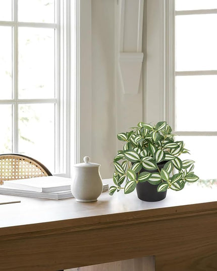 Hollyone Fake Plants 3 Packs Artificial Plants Indoor Faux Plants with Black Plastic Pot Small Fake Potted Plant for Home Aesthetic Living Room Bathroom Desk Shelf Office Decor